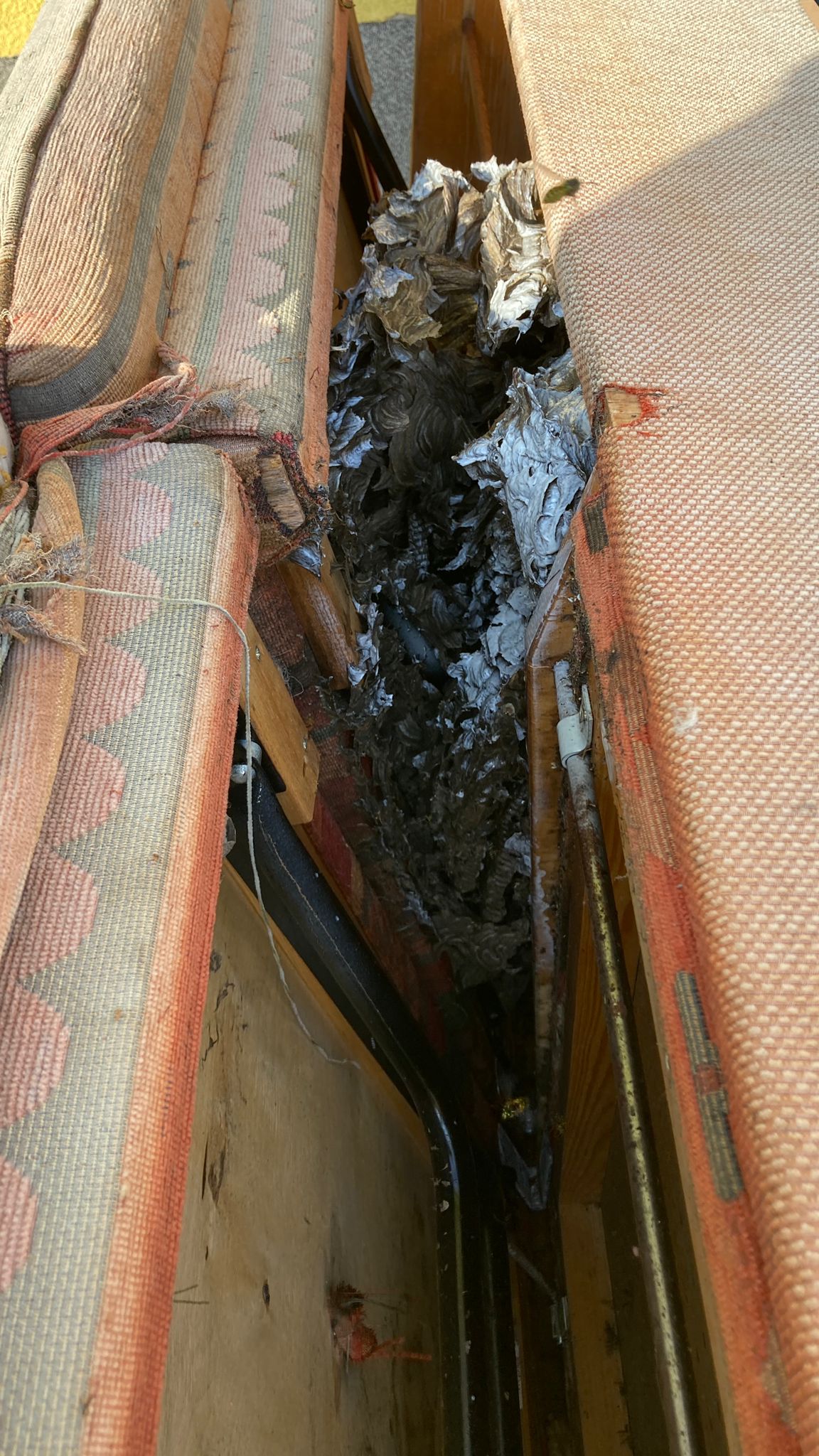 IMG-20230901-WA0004